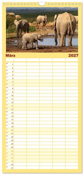 Produktbild: Familienplaner 2027 - Afrikas Tierwelt: Elefantenbabys mit 5 Spalten (Wandkalender, 21 x 45 cm) CALVENDO
