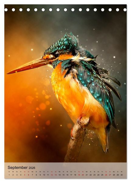 Produktbild: Schillernder Eisvogel (Tischkalender 2026 DIN A5 hoch), CALVENDO Monatskalender