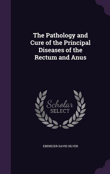 Produktbild: The Pathology and Cure of the Principal Diseases of the Rectum and Anus