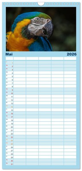 Produktbild: Familienplaner 2026 - Papageien - Frech, sch&ouml;n und schlau mit 5 Spalten (Wandkalender, 21 x 45 cm) CALVENDO