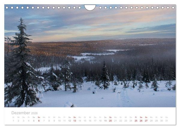 Produktbild: Heimat der Samen (Wandkalender 2026 DIN A4 quer), CALVENDO Monatskalender