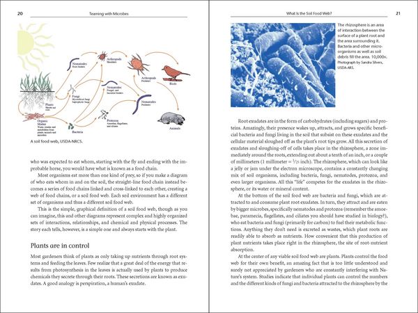Produktbild: Teaming with Microbes