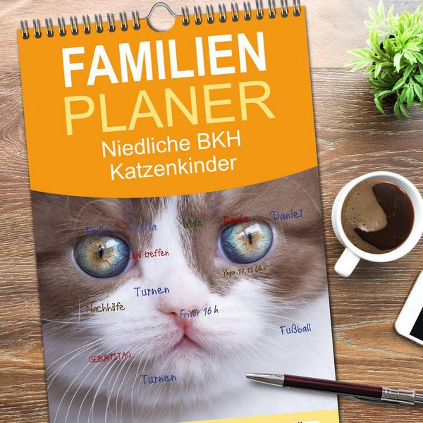 Produktbild: Familienplaner 2026 - Niedliche BKH Katzenkinder mit 5 Spalten (Wandkalender, 21 x 45 cm) CALVENDO