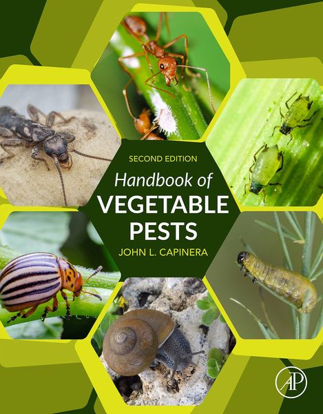 Produktbild: Handbook of Vegetable Pests