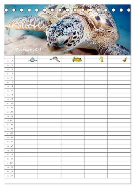 Produktbild: Der Unterwasser Familienplaner 2026 (Tischkalender 2026 DIN A5 hoch), CALVENDO Monatskalender