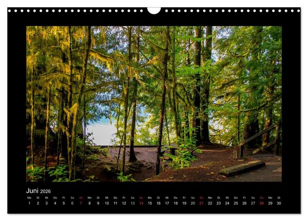 Produktbild: W&auml;lder, fotografiert auf vier Kontinenten (Wandkalender 2026 DIN A3 quer), CALVENDO Monatskalender