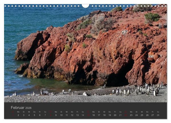 Produktbild: Von Iguaz&uacute; bis Ushuaia - vom Regenwald bis Feuerland (Wandkalender 2026 DIN A3 quer), CALVENDO Monatskalender