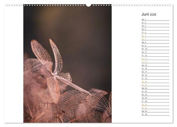 Produktbild: Kleine Wunder vor der Haust&uuml;r (hochwertiger Premium Wandkalender 2026 DIN A2 quer), Kunstdruck in Hochglanz