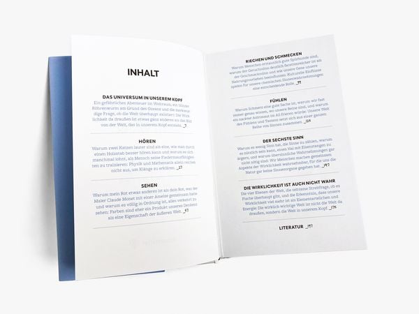 Produktbild: Die Wirklichkeit ist auch nicht wahr