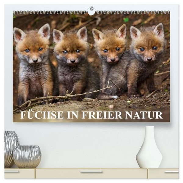 Produktbild: F&uuml;chse in freier Natur (hochwertiger Premium Wandkalender 2026 DIN A2 quer), Kunstdruck in Hochglanz