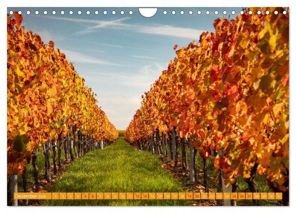 Produktbild: Indian Summer in Baden-W&uuml;rttemberg (Wandkalender 2026 DIN A4 quer), CALVENDO Monatskalender