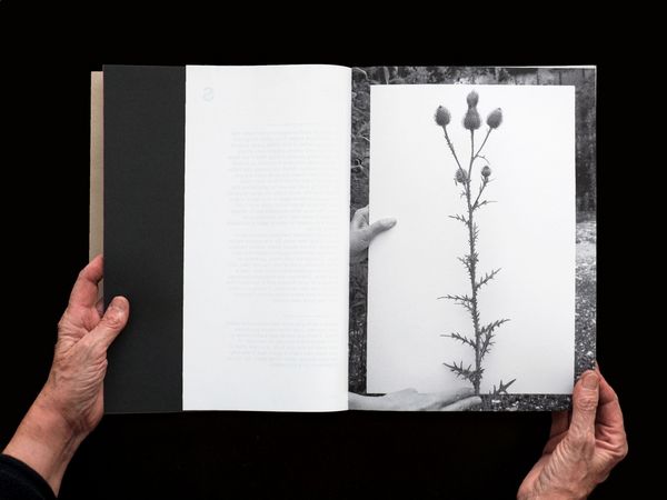 Produktbild: BLUMENLESE