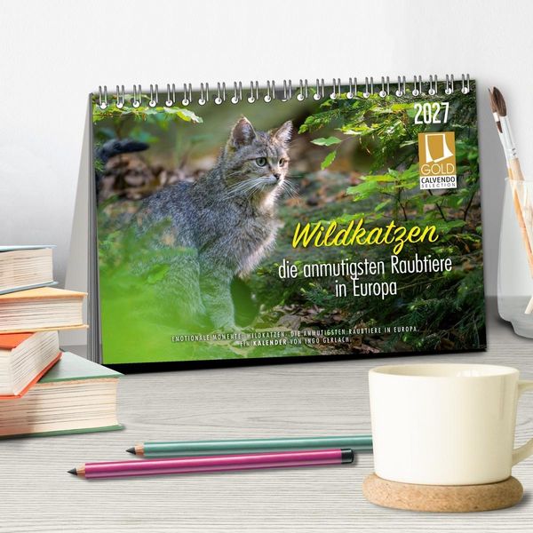 Produktbild: Wildkatzen - die anmutigsten Raubiere in Europa. (Tischkalender 2027 DIN A5 quer), CALVENDO Monatskalender