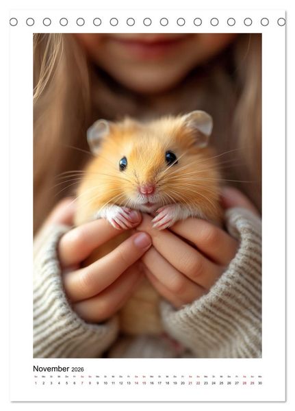 Produktbild: Goldhamster Geschichten (Tischkalender 2026 DIN A5 hoch), CALVENDO Monatskalender