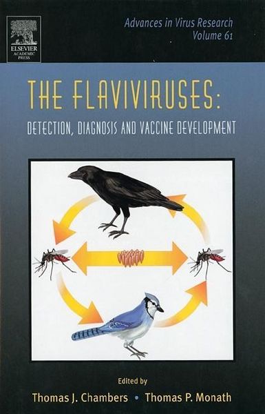 Produktbild: The Flaviviruses: Detection, Diagnosis and Vaccine Developme