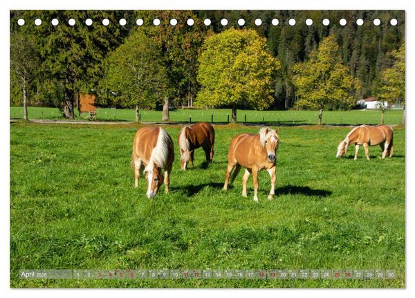 Produktbild: Achensee - im Herzen der Tiroler Alpen (Tischkalender 2026 DIN A5 quer), CALVENDO Monatskalender