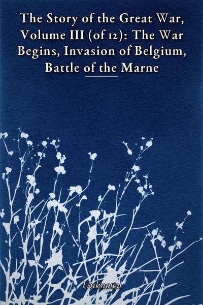 Produktbild: The Story of the Great War, Volume III (of 12)