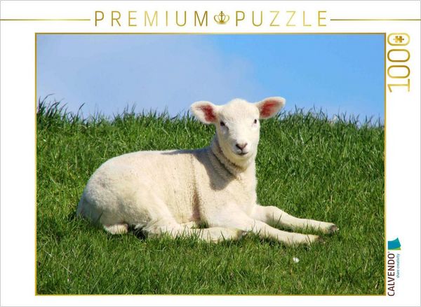 Produktbild: CALVENDO Puzzle Ein niedliches Lamm auf dem Deich | 1000 Teile Lege-Gr&ouml;&szlig;e 64x48cm Foto-Puzzle f&uuml;r gl&uuml;ckliche Stunden