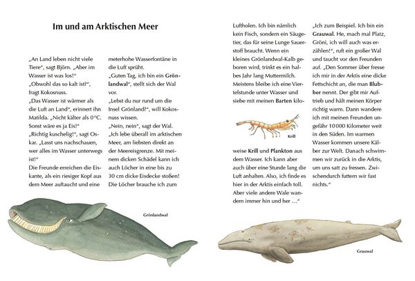 Produktbild: Alles klar! Der kleine Drache Kokosnuss erforscht das ewige Eis