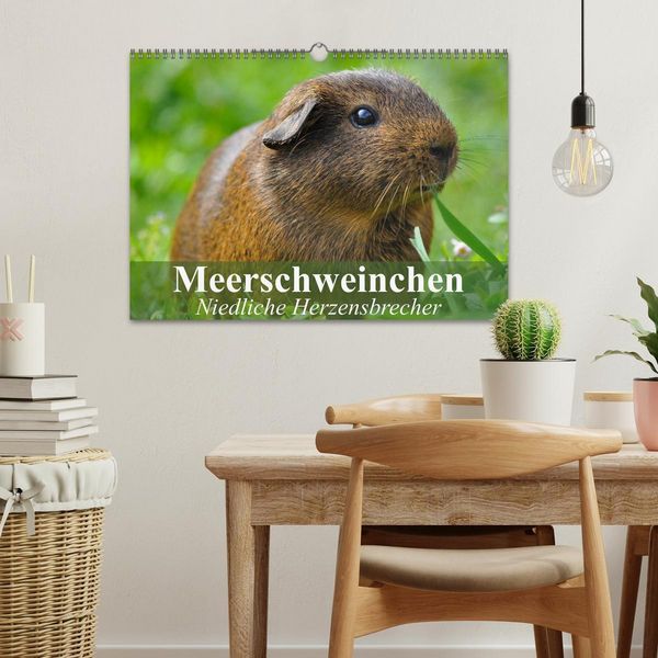 Produktbild: Meerschweinchen Niedliche Herzensbrecher (Wandkalender 2026 DIN A3 quer), CALVENDO Monatskalender