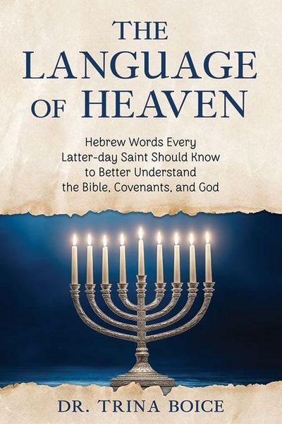 Produktbild: Language of Heaven