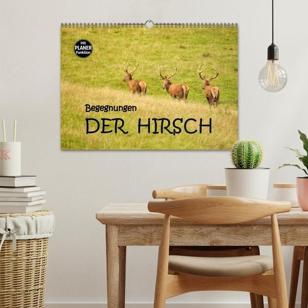 Produktbild: Begegnungen. DER HIRSCH (Wandkalender 2026 DIN A3 quer), CALVENDO Monatskalender