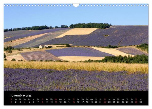 Produktbild: Lavande, l'or bleu de Provence (Calendrier mural 2026 DIN A3 vertical), CALVENDO calendrier mensuel