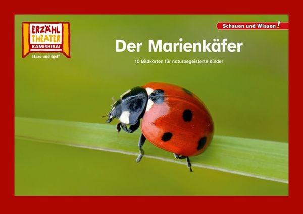 Der Marienkäfer / Kamishibai Bildkarten, von , Hase und Igel Verlag