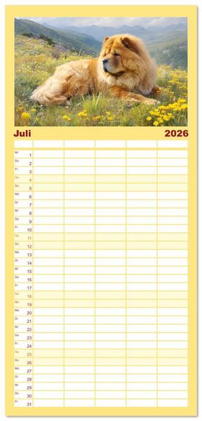 Produktbild: Familienplaner 2026 - Chow Chow Momente. Fellpoesie aus dem Reich der Mitte mit 5 Spalten (Wandkalender, 21 x 45 cm) CALVENDO
