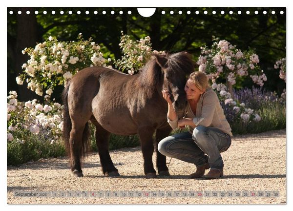 Produktbild: Natural Horsemanship - Partnerschaft mit Pferden (Wandkalender 2026 DIN A4 quer), CALVENDO Monatskalender