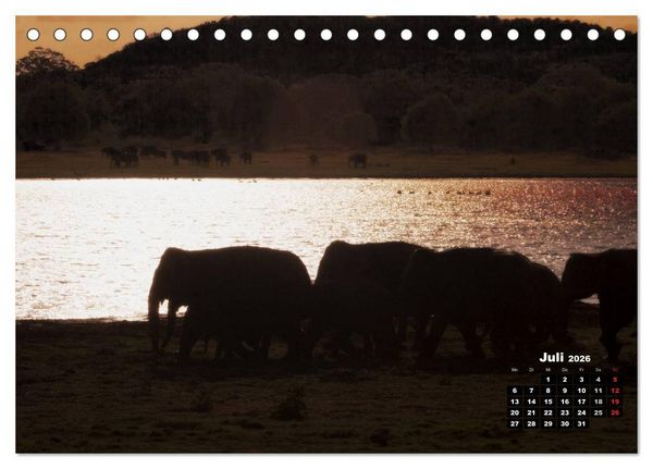 Produktbild: Bedrohte Riesen - Elefanten in Sri Lanka (Tischkalender 2026 DIN A5 quer), CALVENDO Monatskalender