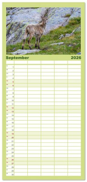 Produktbild: Familienplaner 2026 - Bergk&ouml;nige - Steinb&ouml;cke im Blickpunkt der Naturfotografie mit 5 Spalten (Wandkalender, 21 x 45 cm) CALVENDO