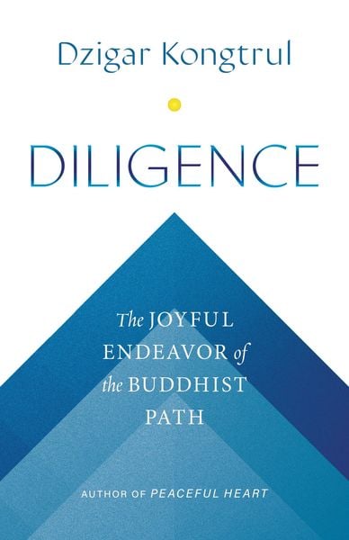 Produktbild: Diligence