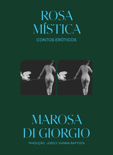 Produktbild: Rosa m&iacute;stica