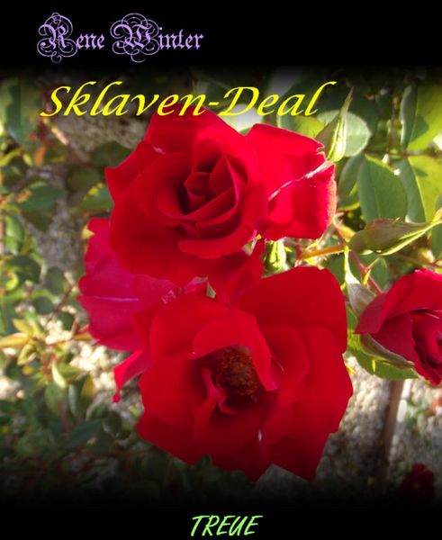 Produktbild: Sklaven-Deal