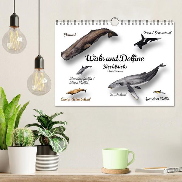 Produktbild: Wale und Delfine Steckbriefe (Wandkalender 2026 DIN A4 quer), CALVENDO Monatskalender