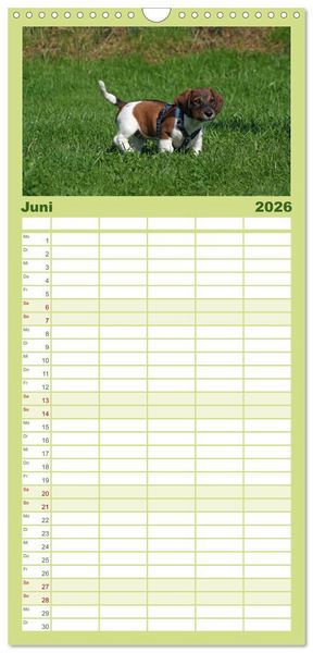 Produktbild: Familienplaner 2026 - Der Hundewelpen-Geburtstagskalender mit 5 Spalten (Wandkalender, 21 x 45 cm) CALVENDO
