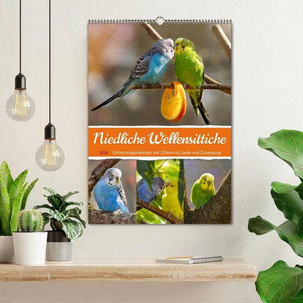 Produktbild: Niedliche Wellensittiche (Wandkalender 2026 DIN A2 hoch), CALVENDO Monatskalender