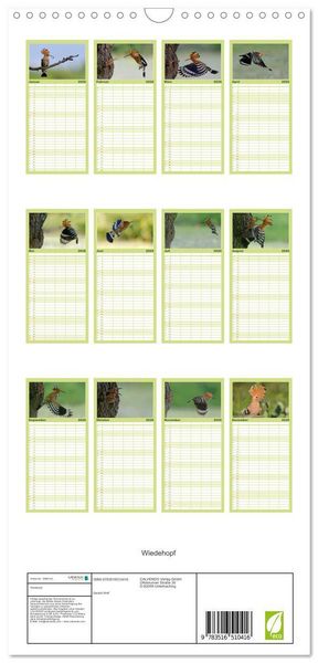 Produktbild: Familienplaner 2026 - Wiedehopf mit 5 Spalten (Wandkalender, 21 x 45 cm) CALVENDO