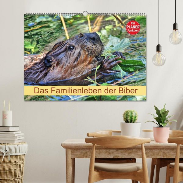 Produktbild: Das Familienleben der Biber (Wandkalender 2026 DIN A2 quer), CALVENDO Monatskalender