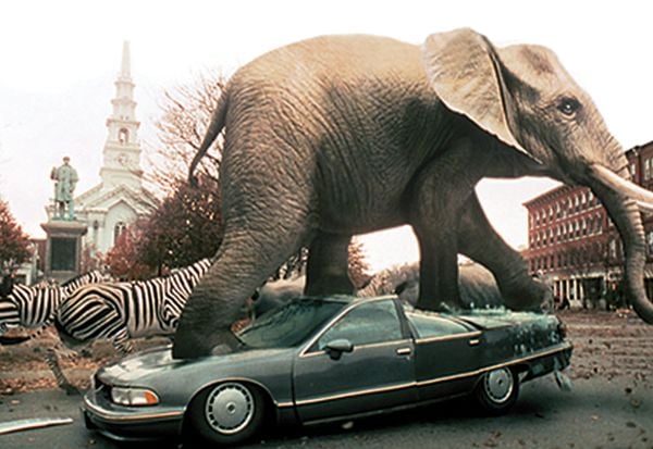 Jumanji Special Edition
