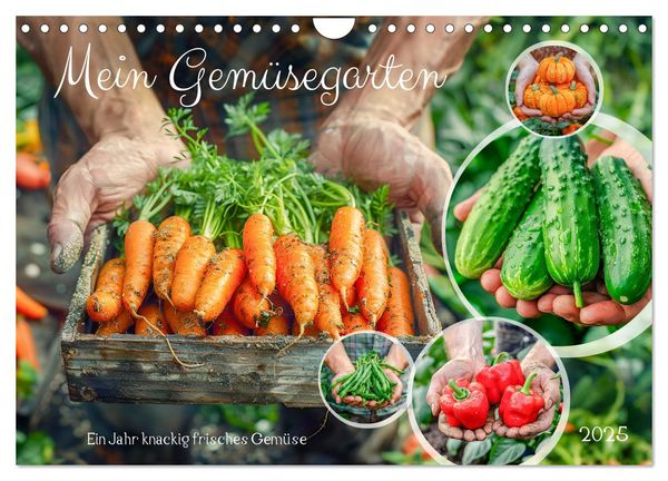 Mein Gemüsegarten - Ein Jahr knackig frisches Gemüse (Wandkalender 2025 DIN A4 quer), CALVENDO Monatskalender