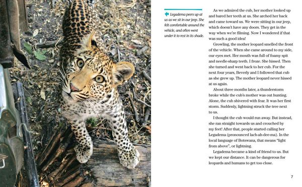 Produktbild: Face to Face with Leopards