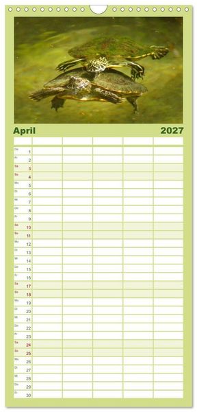 Produktbild: Familienplaner 2027 - Das Leben der Schildkr&ouml;ten mit 5 Spalten (Wandkalender, 21 x 45 cm) CALVENDO