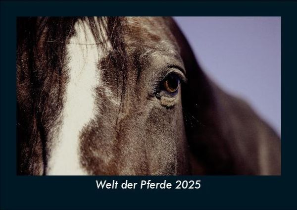 Produktbild: Welt der Pferde 2025 Fotokalender DIN A5