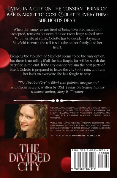 Produktbild: The Divided City