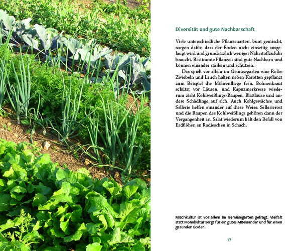 Produktbild: G&auml;rtnern im Wandel