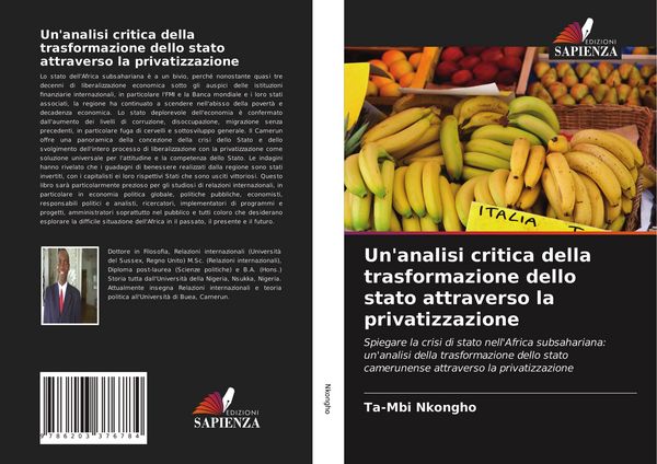 Produktbild: Un'analisi critica della trasformazione dello stato attraverso la privatizzazione