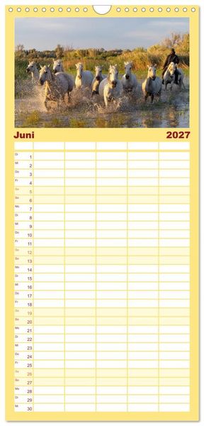 Produktbild: Familienplaner 2027 - Die wei&szlig;en Pferde der Camargue mit 5 Spalten (Wandkalender, 21 x 45 cm) CALVENDO