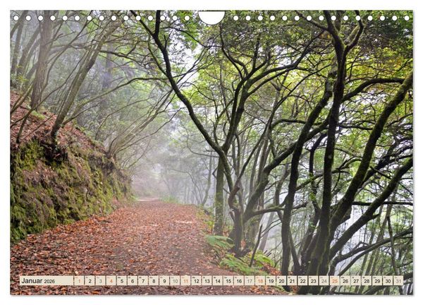 Produktbild: Magic Moments - LA PALMA (Wandkalender 2026 DIN A4 quer), CALVENDO Monatskalender